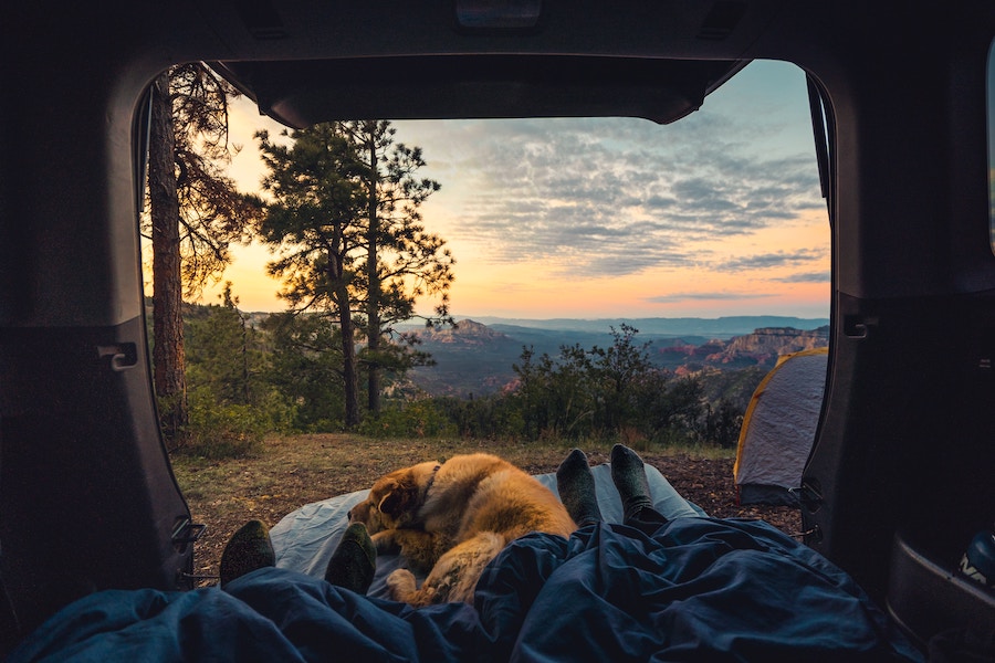 Two people and a dog camping in the back of a vehicle overlooking the red rock canyons near Sedona, Arizona.