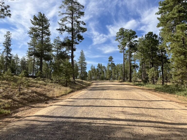 Forest Road 9350 Designated Dispersed Camping 