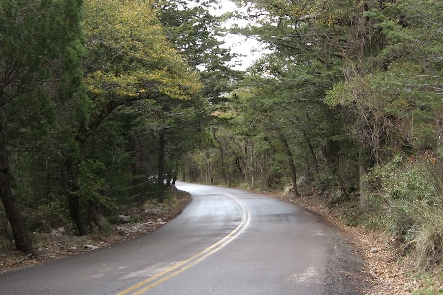 Road running through Chiricahua National Monument.